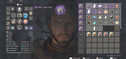 Helmet and Armor Hider v1.1.1-beta
