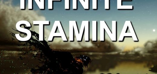 Infinite Stamina v1.0