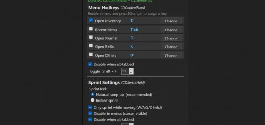 Set Inventory Hotkey (and other missing Shortcuts) v1.0