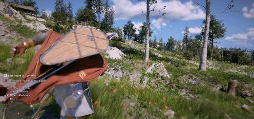 Shoulder Camera v2.2