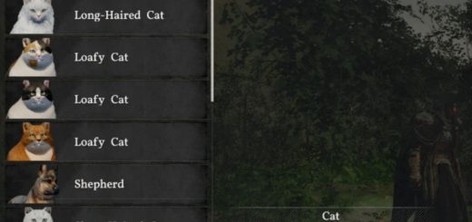 Increase Pet Registration Slots to 999 v1.2