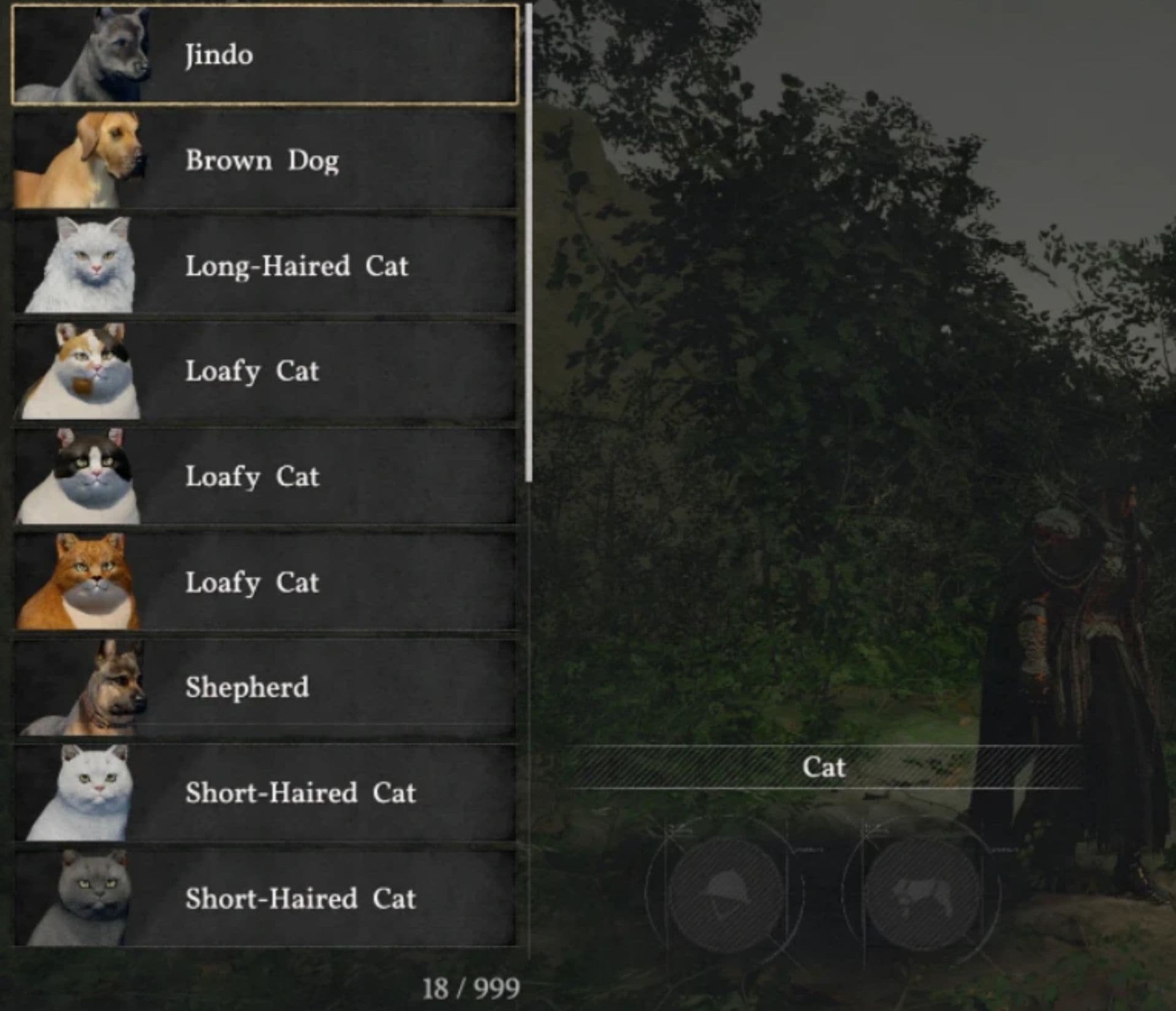 Increase Pet Registration Slots to 999 v1.2