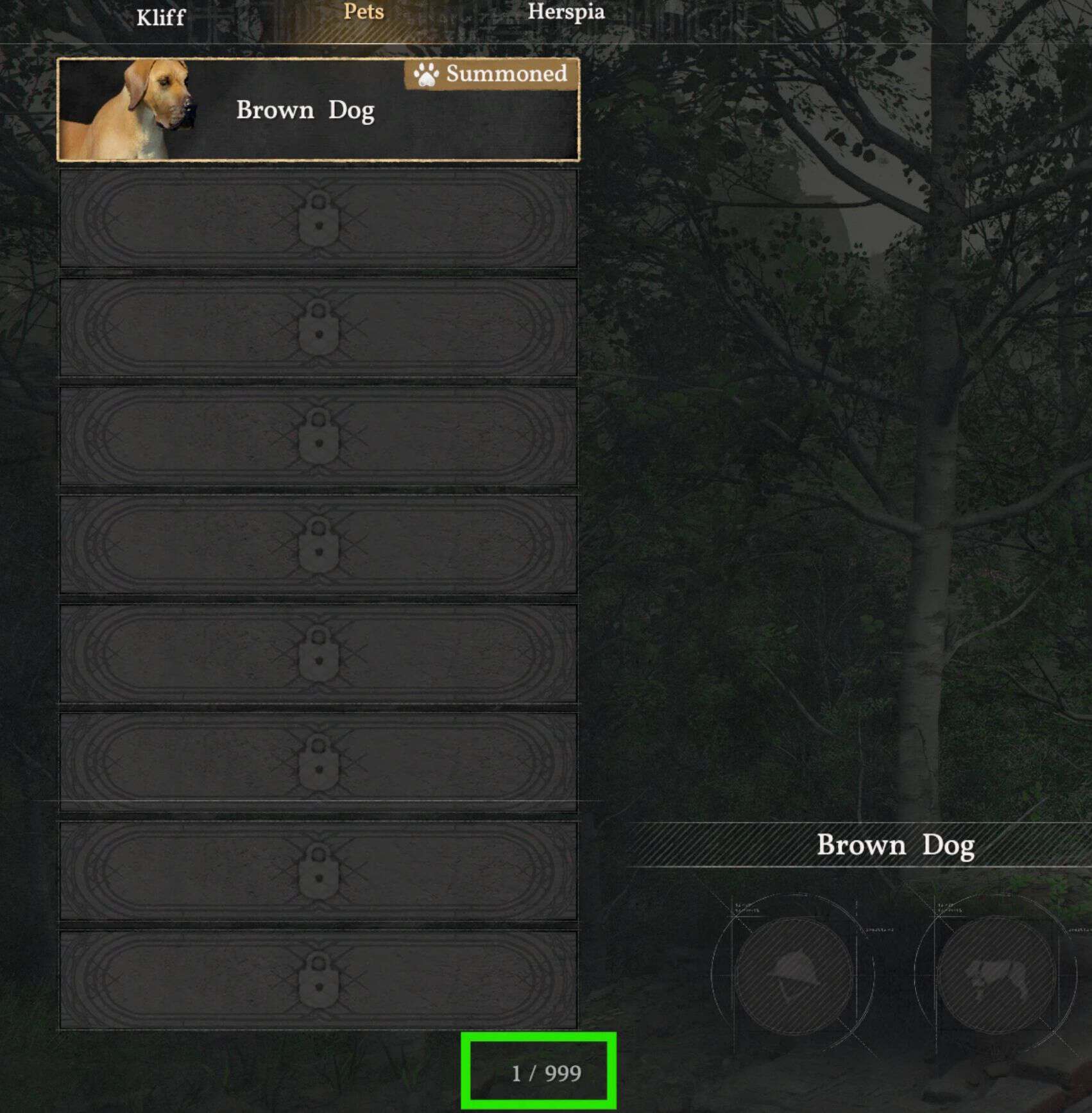 Increased max Pet capacity (999) v1.0