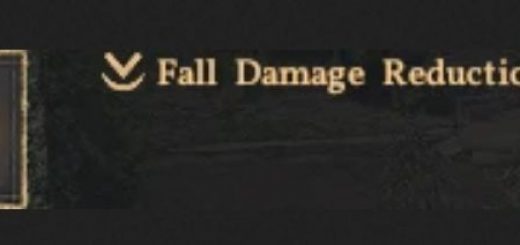 Reduce Fall Damage v1.0.2