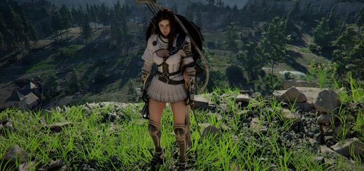 No Decorations on Elegant Carmine Leather Armor (mesh only) v1.0