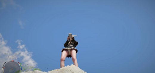White panties – Light of the Battlefield and Elegant Carmine Armor v1.0