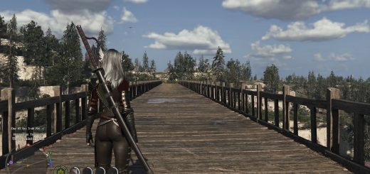 Camera Preset with No Auto-Zoom for Basic Movements v1.0